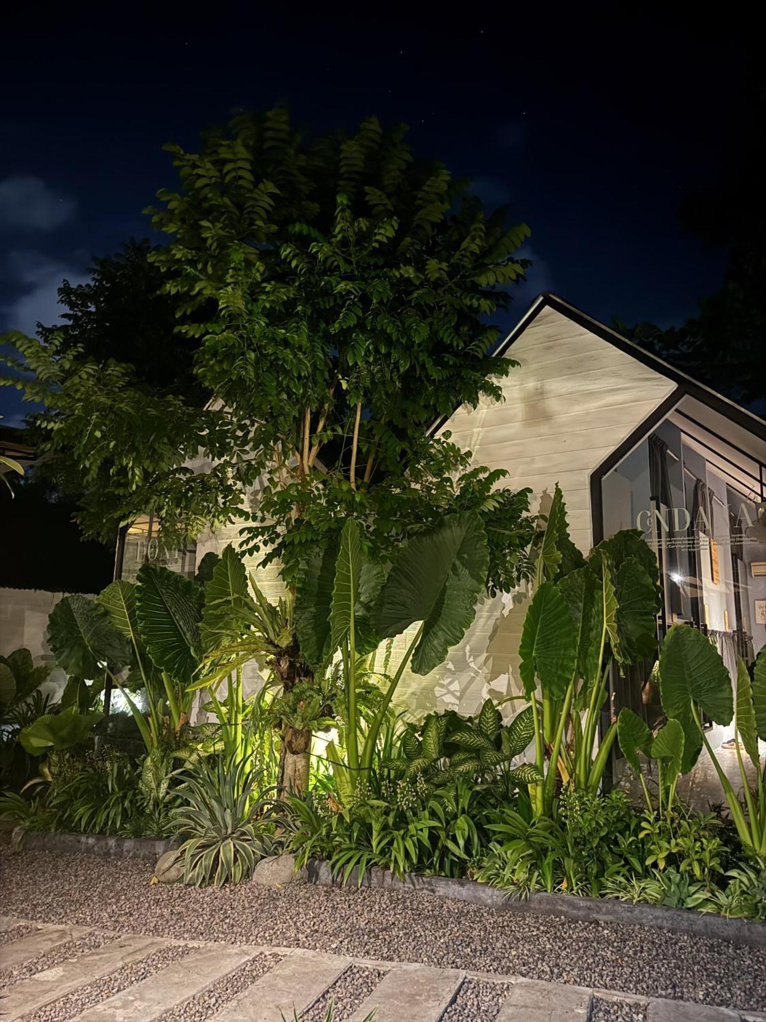 The Jungle Hostel Canggu Exterior photo